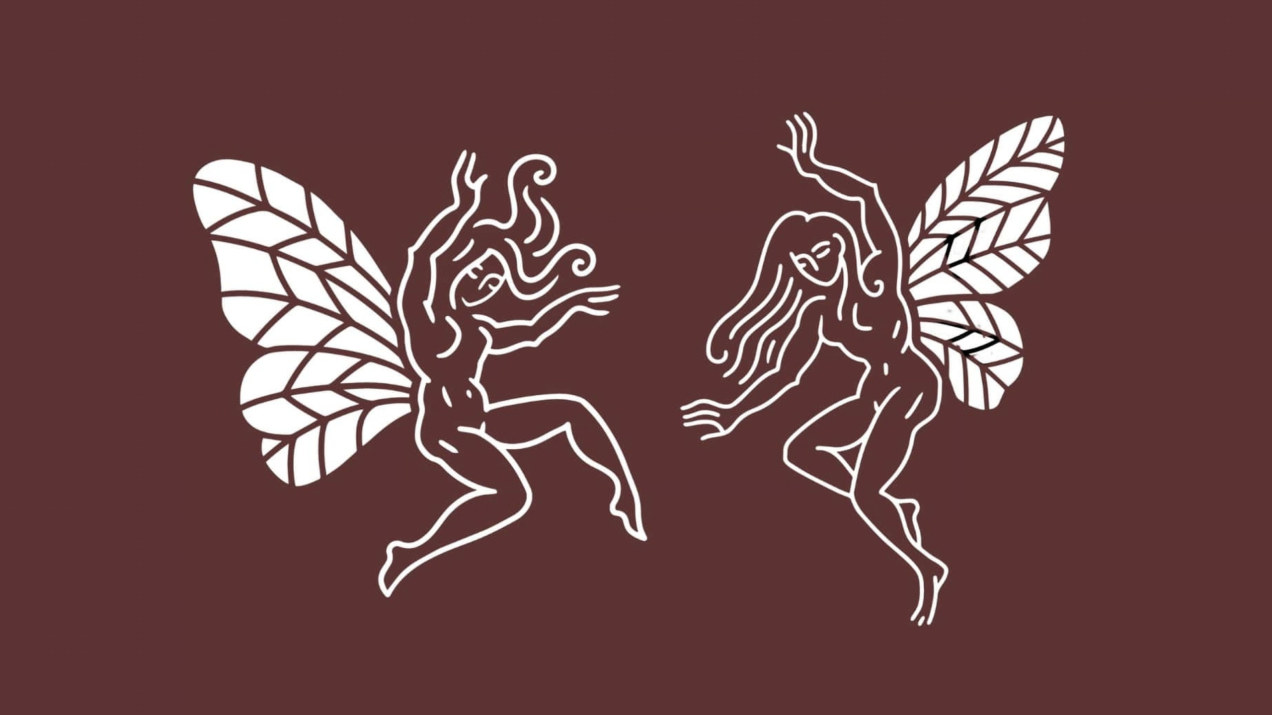 Decorative illustration featuring two white-outlined winged fairy figures facing each other against a dark brown background. Left figure crouches with large veined wings and flowing hair, while right figure stands with raised arm and layered wings, creating a mirrored ornamental composition.